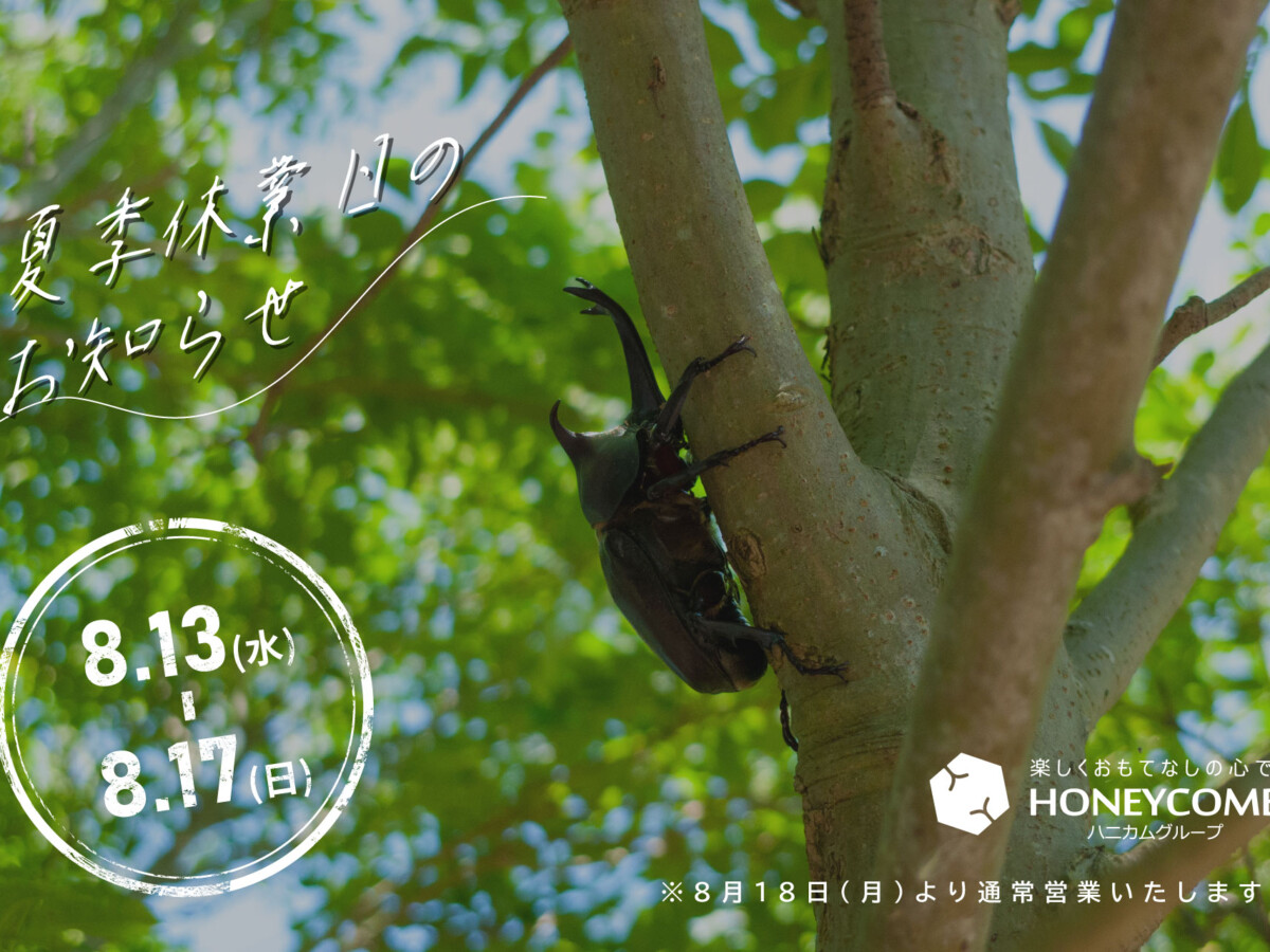 夏季休業お知らせ2025